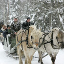 A sleigh ride concluded the celebrations of King Harald's 70th birthday (Photo: Bjørn Sigurdsøn, Scanpix)